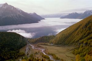 Nebelmeer
